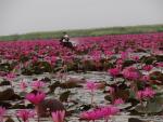 ภาพโดย(T.suwan)